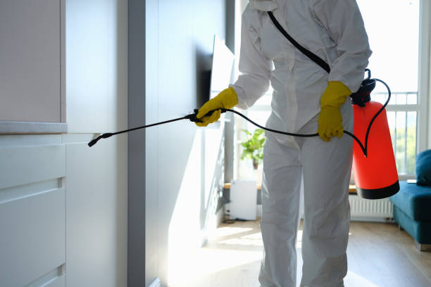 Home Mold Removal in North Haledon, NJ